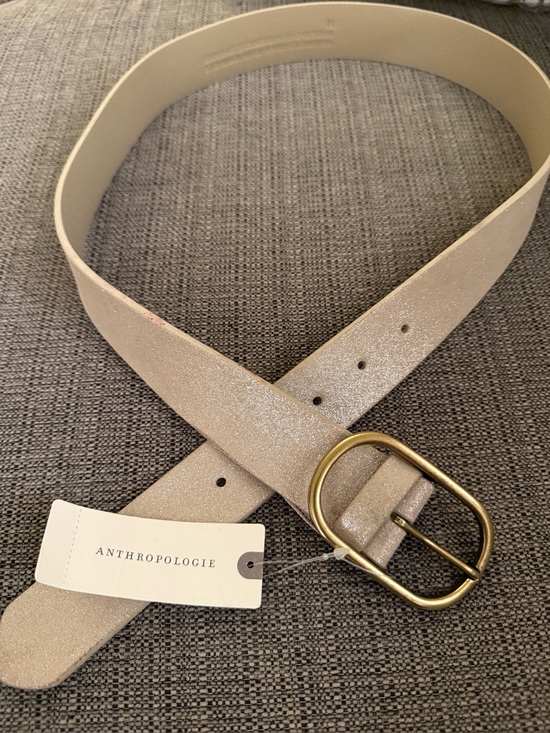 Anthropologie Accessories - New Anthropologie Shimmery Taupe Suede Women's Belt with Brass Oval Buckle M